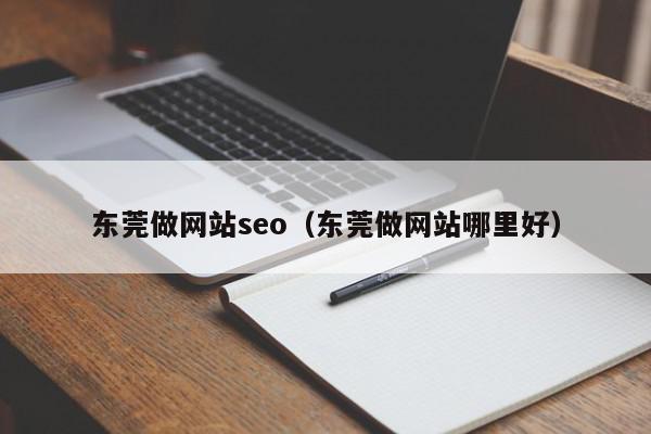 東莞做網站seo（東莞做網站哪里好）