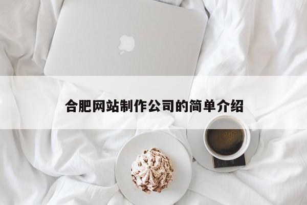 合肥網站制作公司的簡單介紹