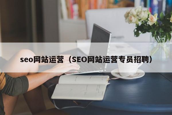 seo網(wǎng)站運營（SEO網(wǎng)站運營專員招聘）