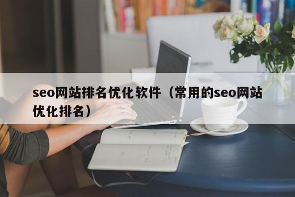 seo網站排名優(yōu)化軟件（常用的seo網站優(yōu)化排名）