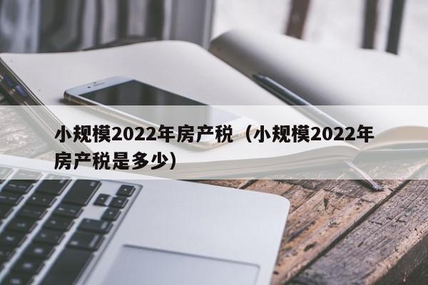 小規(guī)模2022年房產(chǎn)稅（小規(guī)模2022年房產(chǎn)稅是多少）